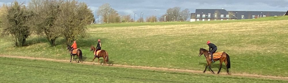 Jockey's riding horses on Epsom Downs
